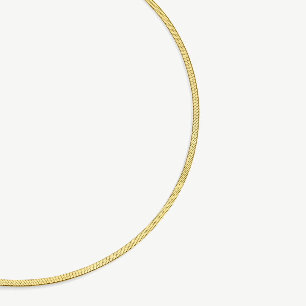 Close-up of thin gold herringbone chain necklace on white background